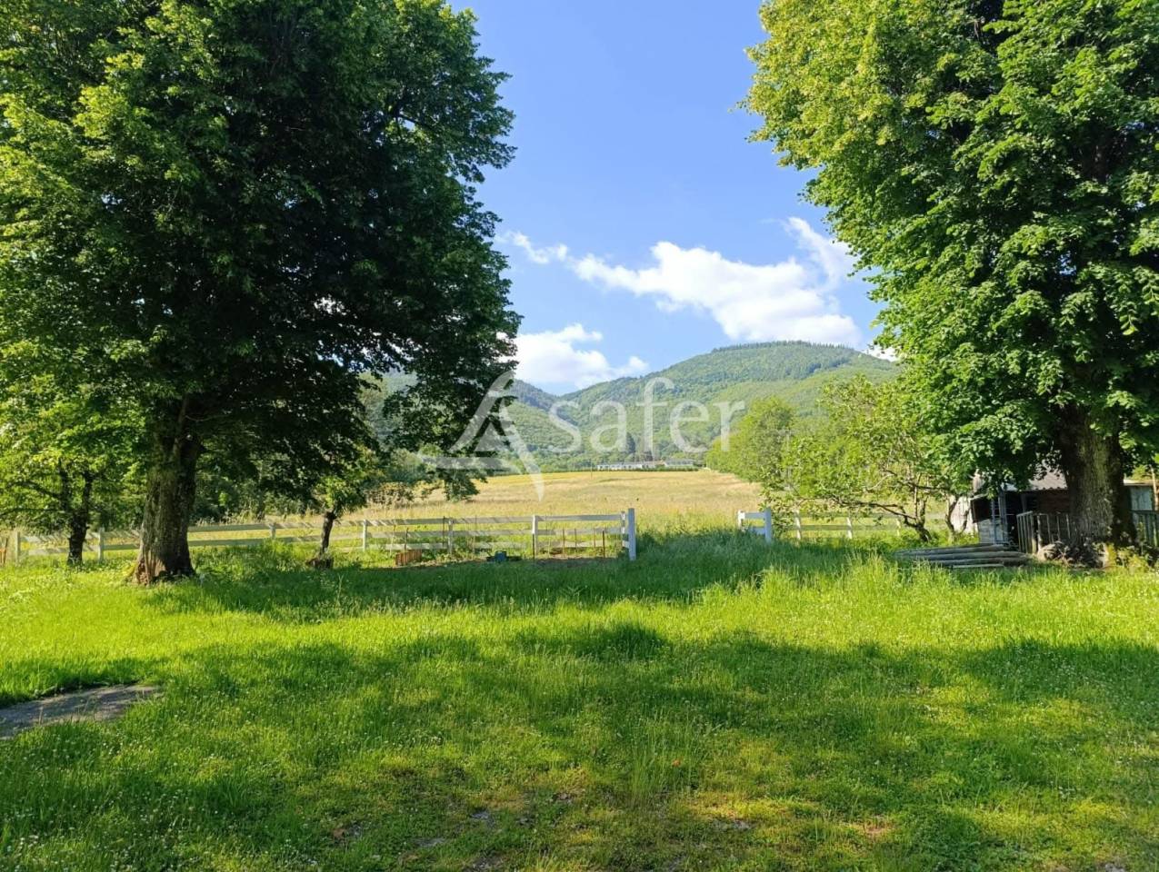 Ander plattelands vastgoed Koop tarn