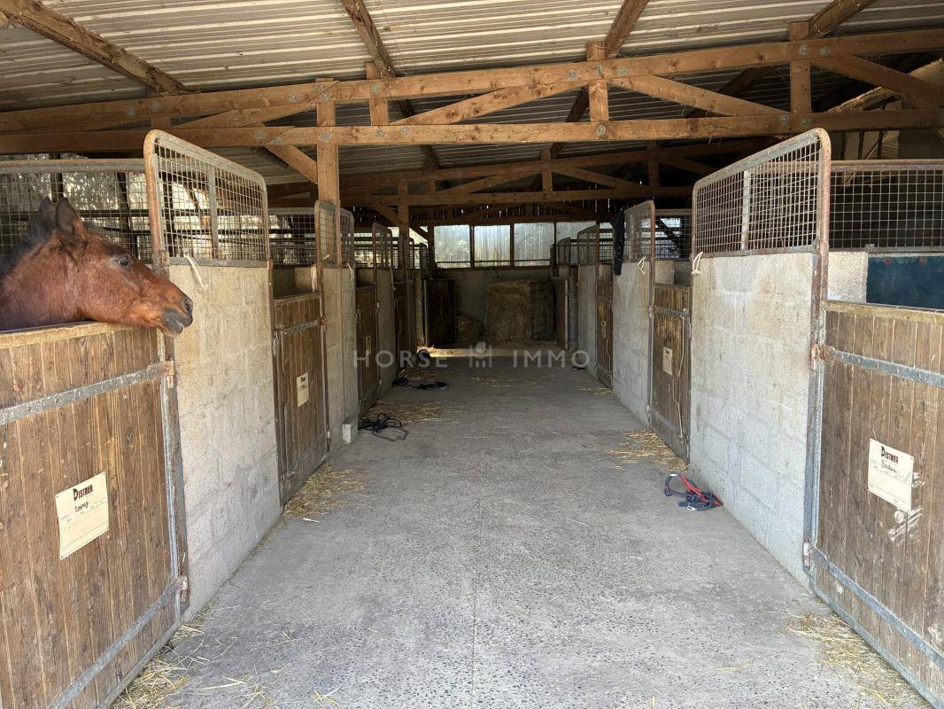 Ruiterclub Koop Ile-et-Vilaine