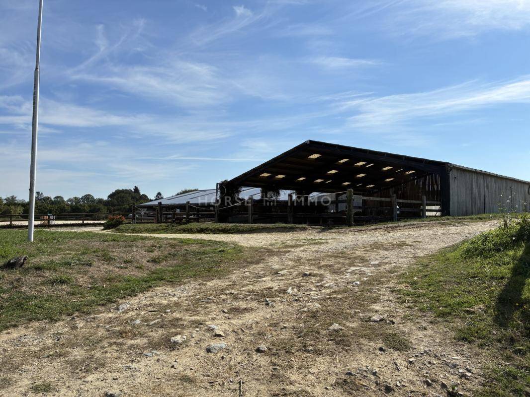 Ruiterclub Koop Ile-et-Vilaine