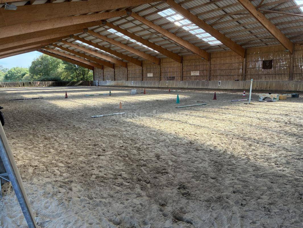 Ruiterclub Koop Ile-et-Vilaine