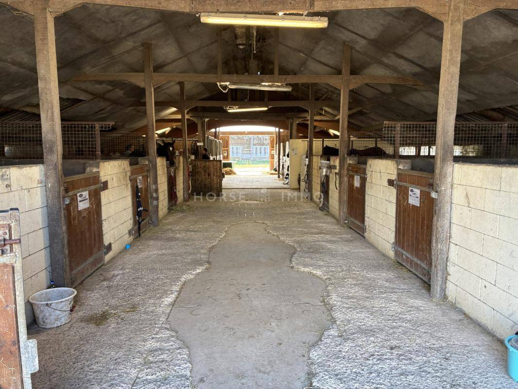 Ruiterclub Koop Ile-et-Vilaine