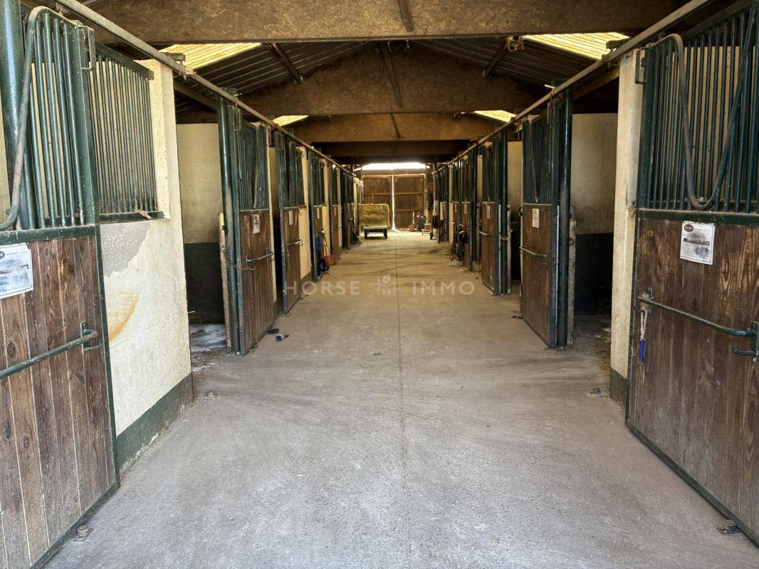 Ruiterclub Koop Ile-et-Vilaine