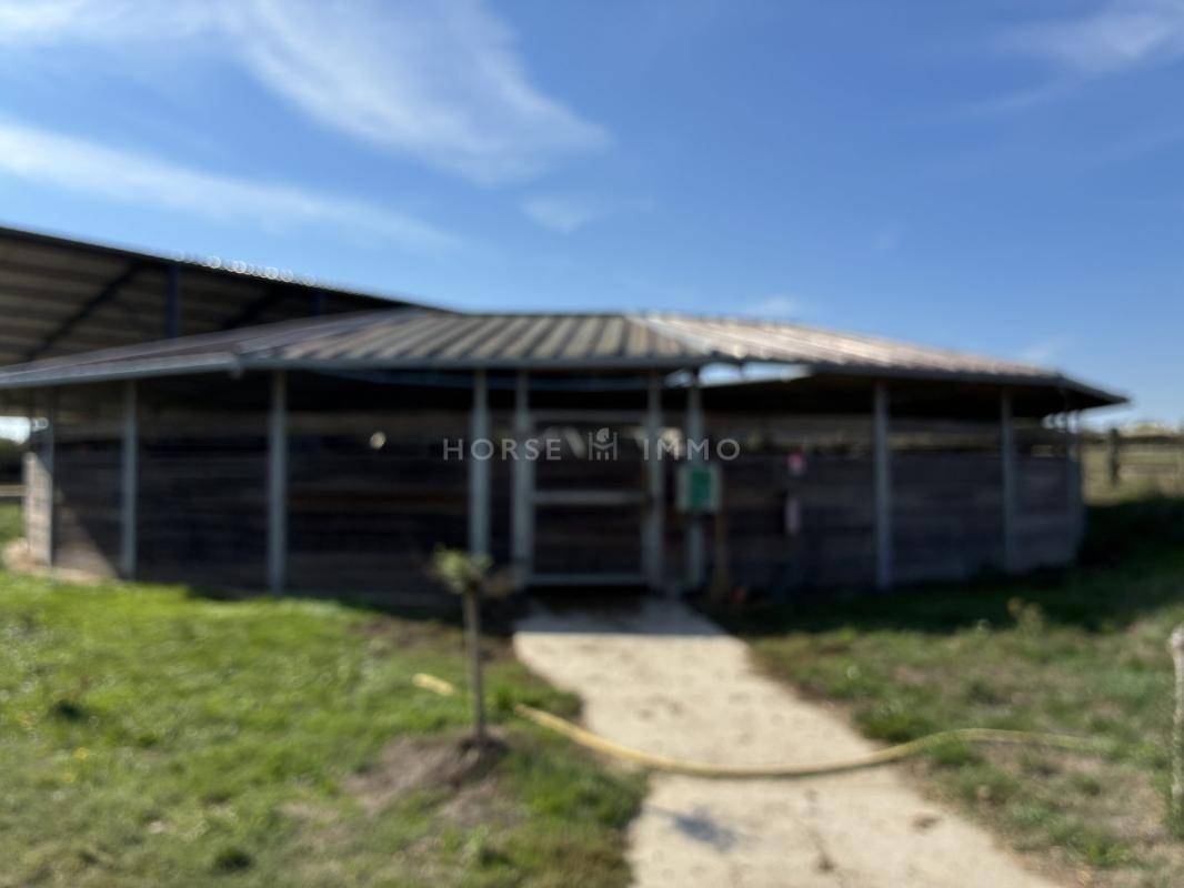 Ruiterclub Koop Ile-et-Vilaine