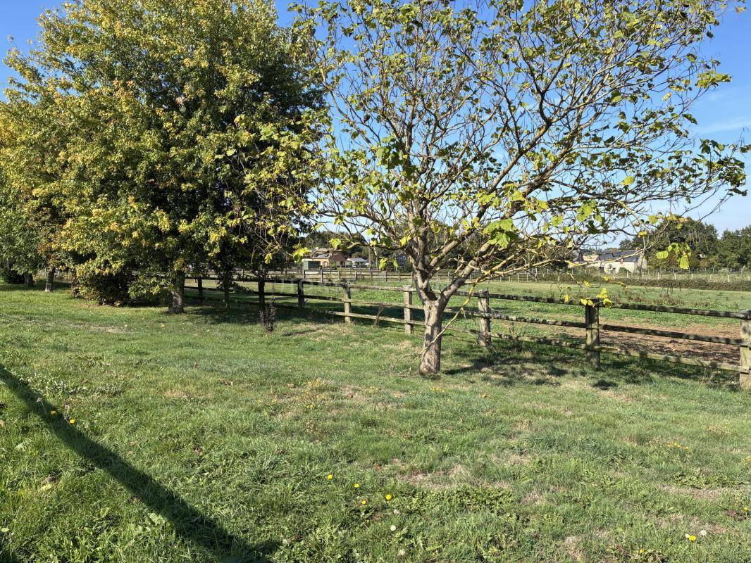 Ruiterclub Koop Ile-et-Vilaine