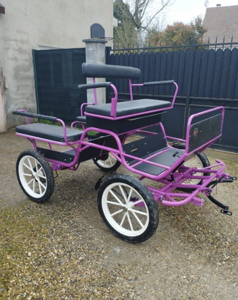 Rijtuigen - Marathon vrijetijd   