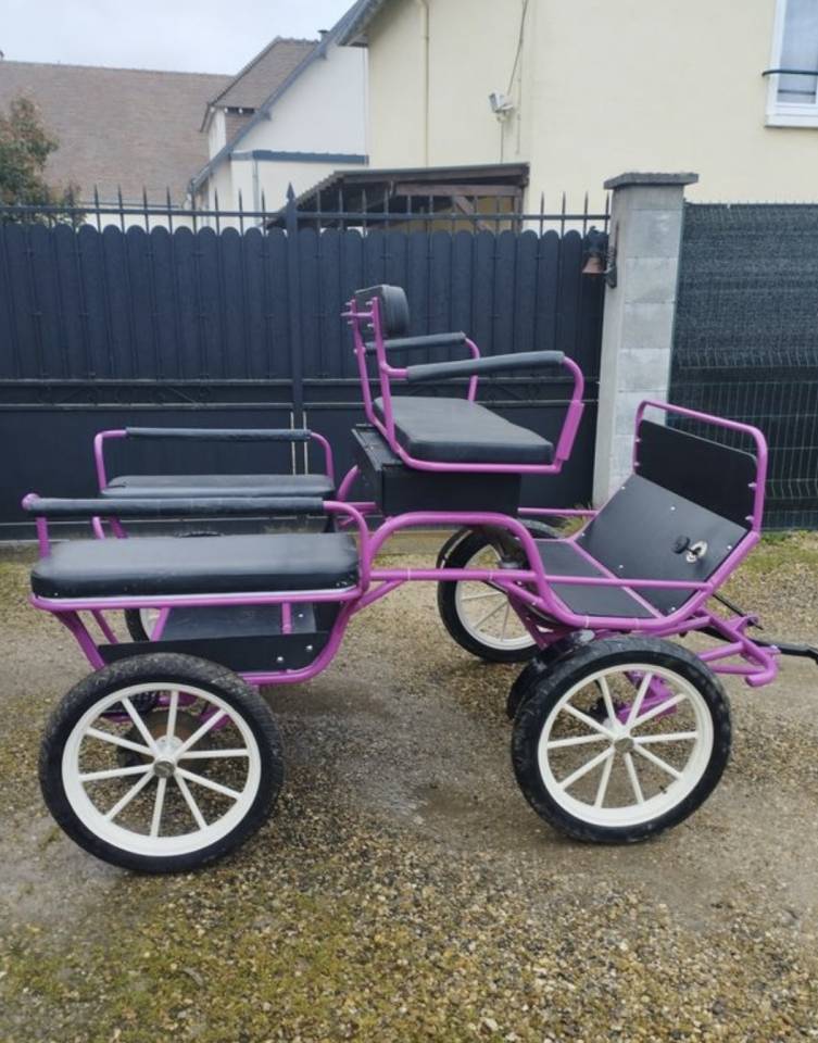 Rijtuigen - Marathon vrijetijd   