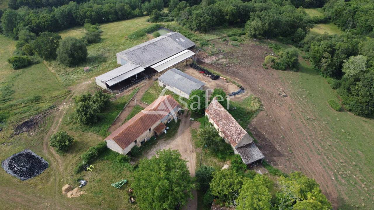 Schapen exploitatie Koop Dordogne