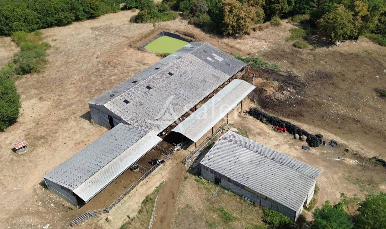 Schapen exploitatie Koop Dordogne