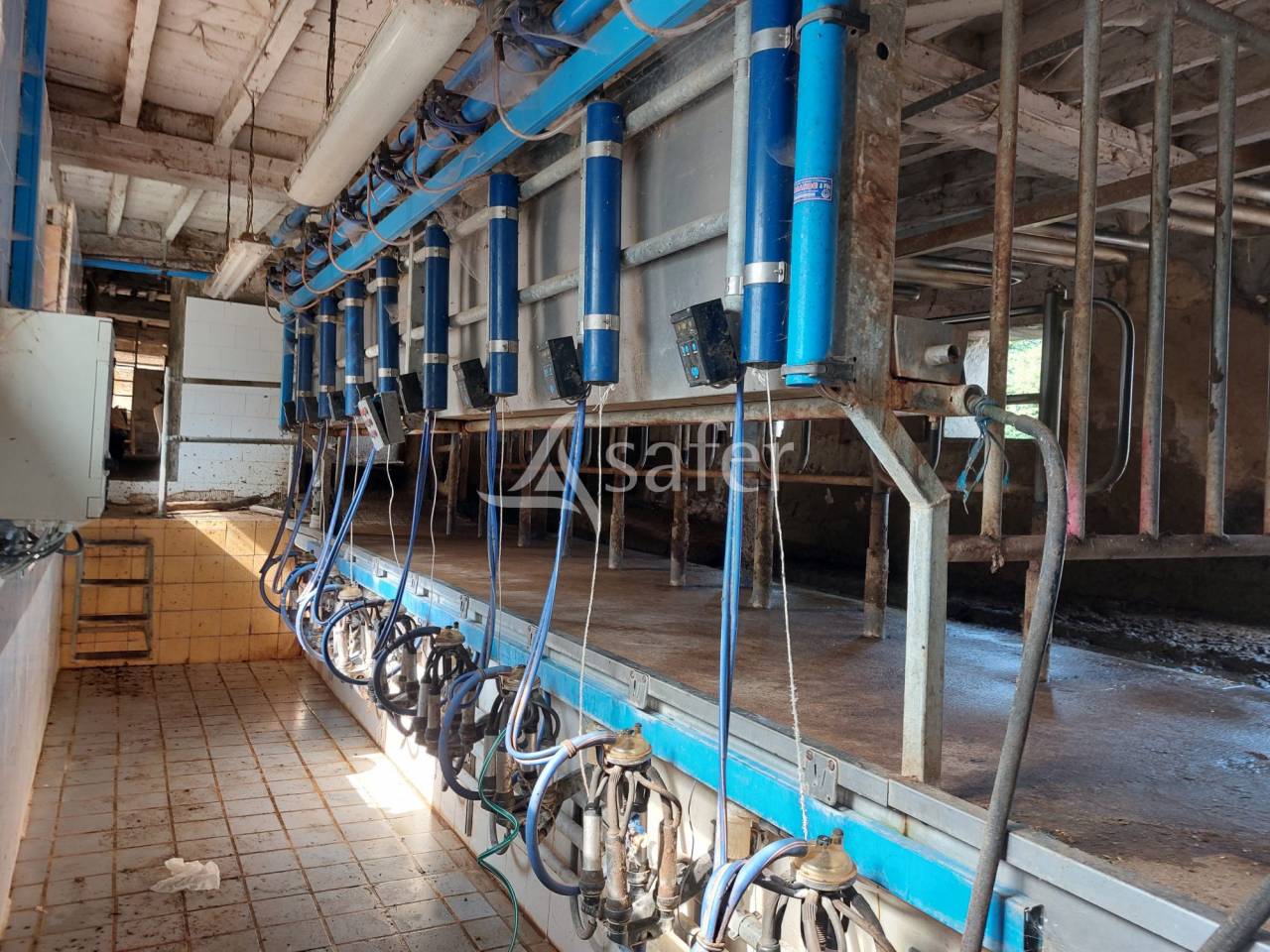 Schapen exploitatie Koop Dordogne