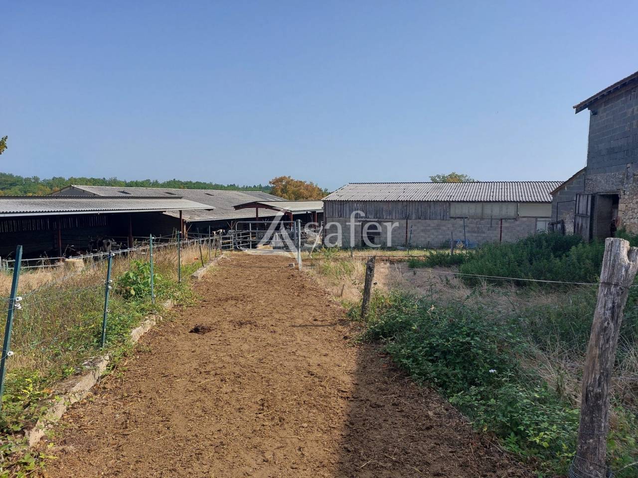 Schapen exploitatie Koop Dordogne