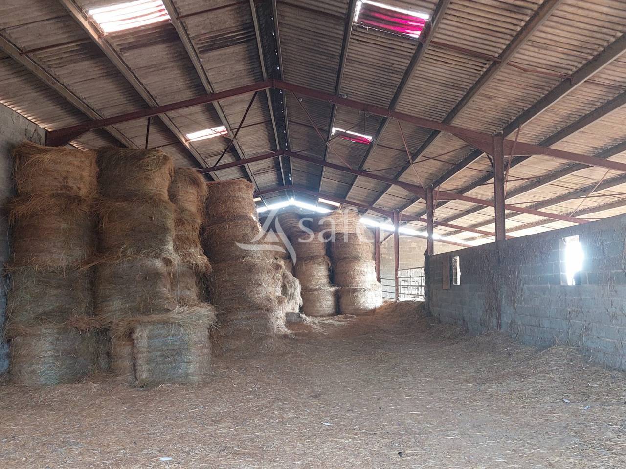 Schapen exploitatie Koop Dordogne