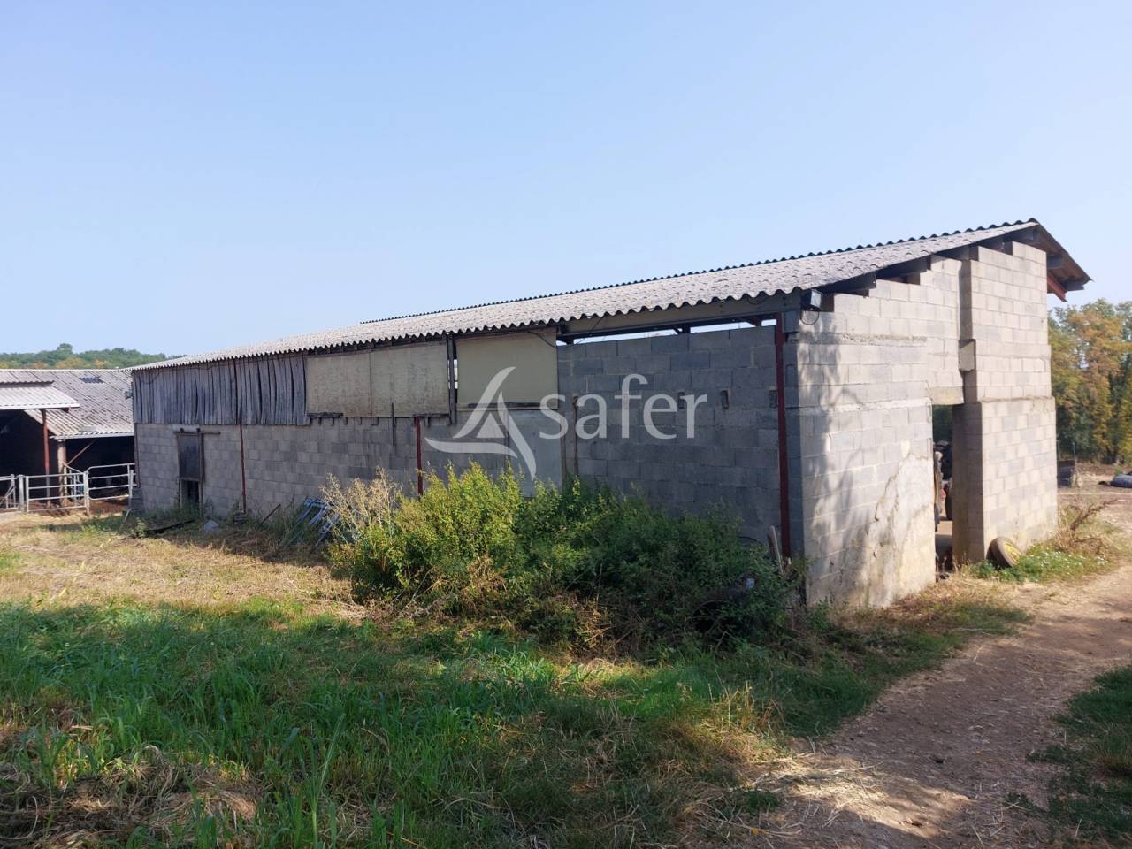 Schapen exploitatie Koop Dordogne