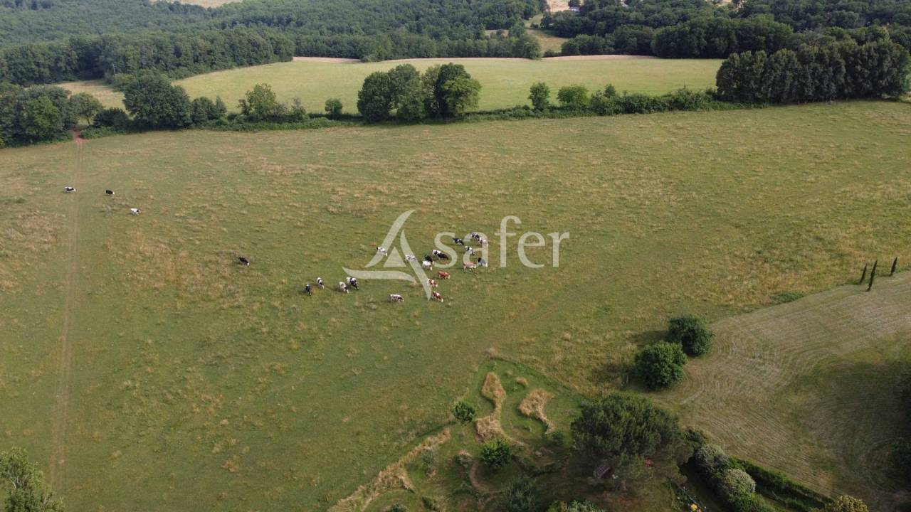 Schapen exploitatie Koop Dordogne