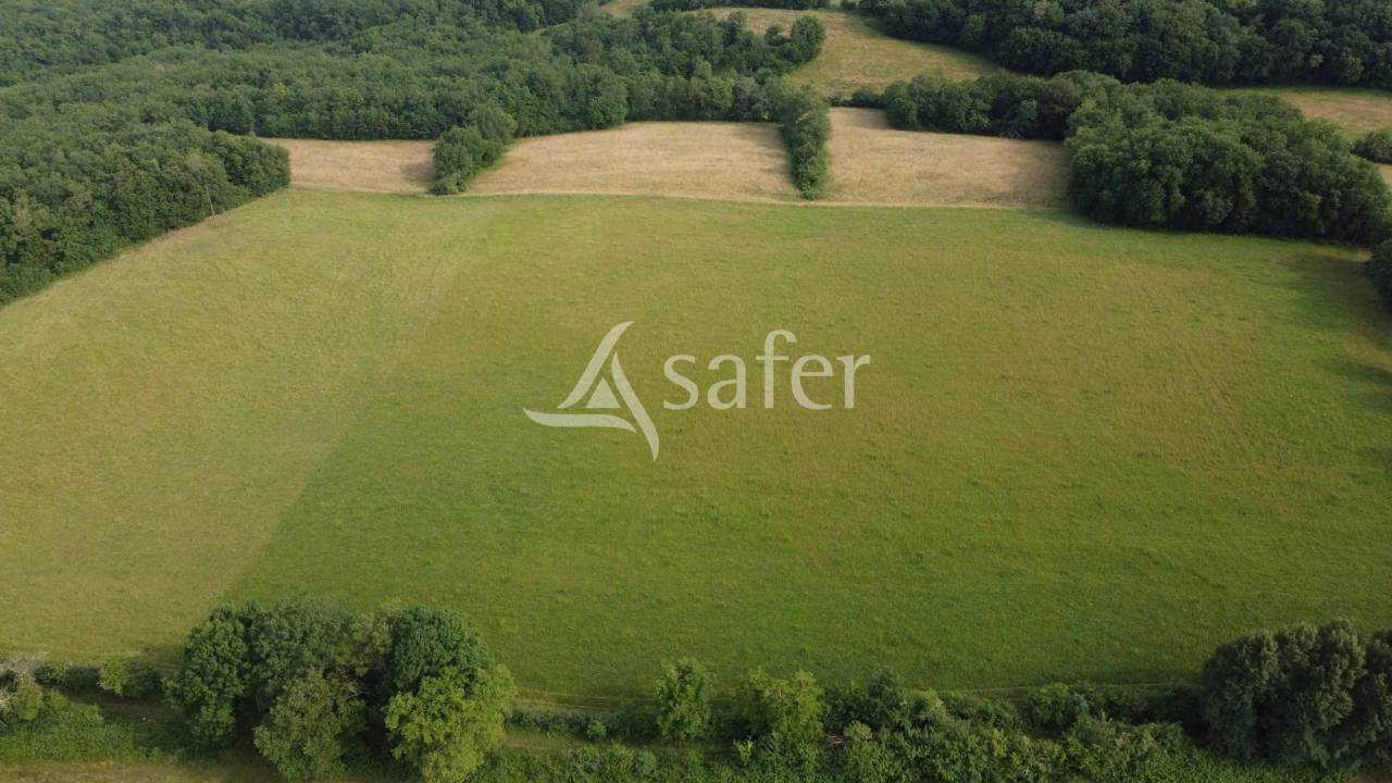 Schapen exploitatie Koop Dordogne