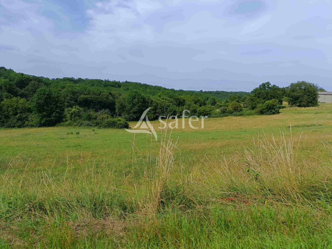 Schapen exploitatie Koop Dordogne