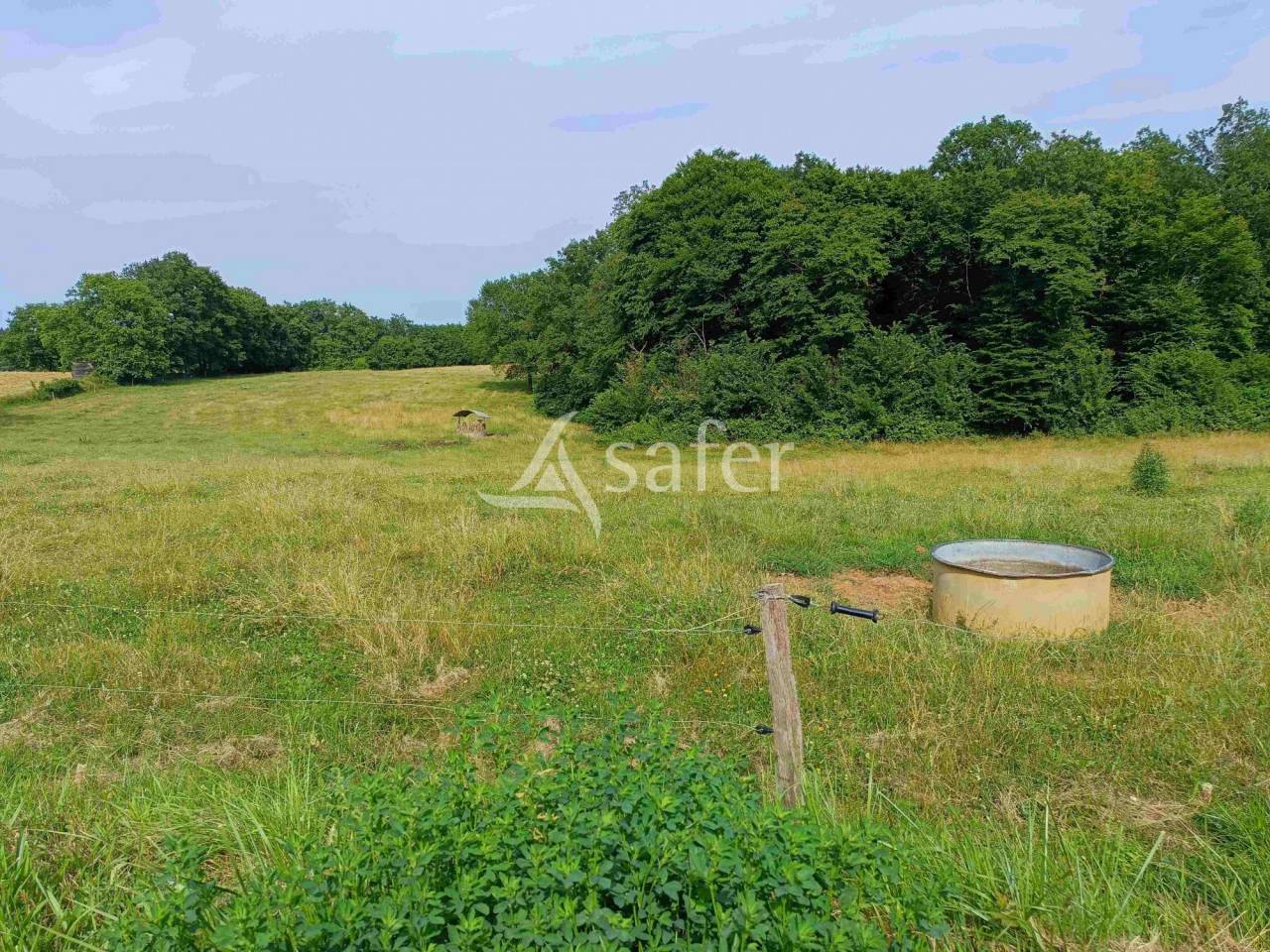 Schapen exploitatie Koop Dordogne