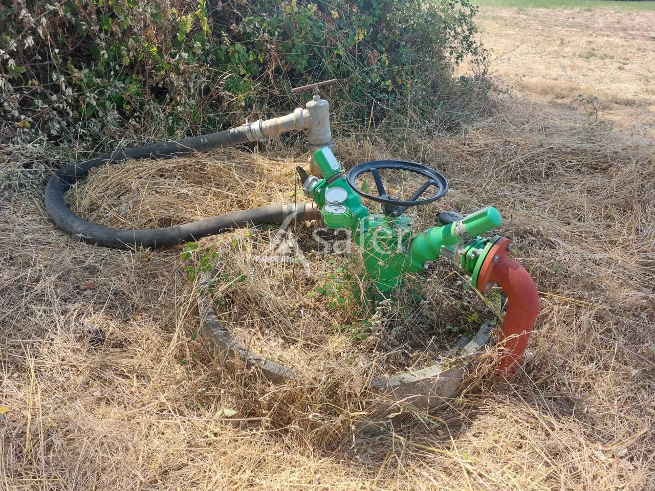 Schapen exploitatie Koop Dordogne