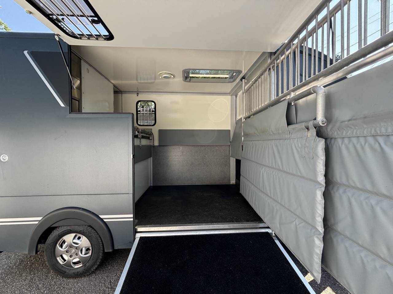 Kleine paardenvrachtwagen (B rijbewijs) Andere merken MSG Light 2020 Tweedehands