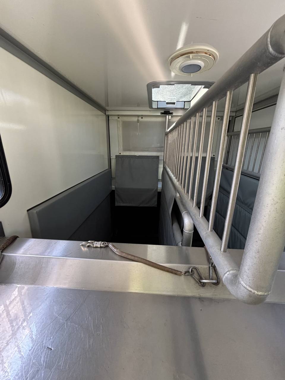 Kleine paardenvrachtwagen (B rijbewijs) Andere merken MSG Light 2020 Tweedehands