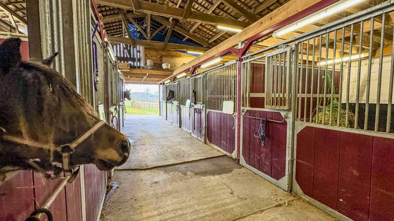 Mooi hippisch vastgoed Koop Lot-et-Garonne