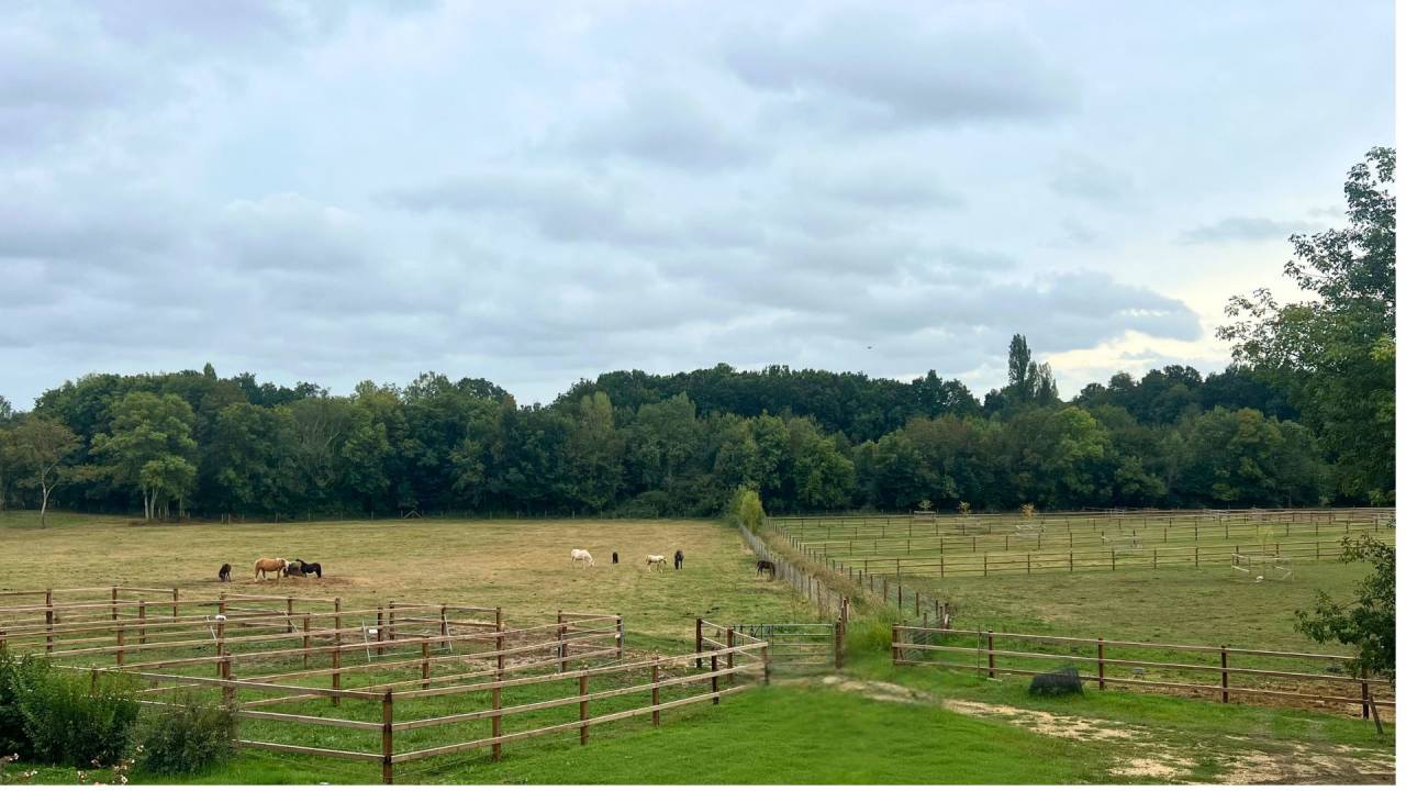 Mooi hippisch vastgoed Koop Lot-et-Garonne