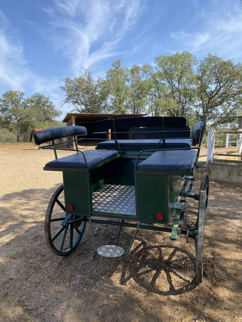 Rijtuigen - Vis-&agrave;-vis Berrard  