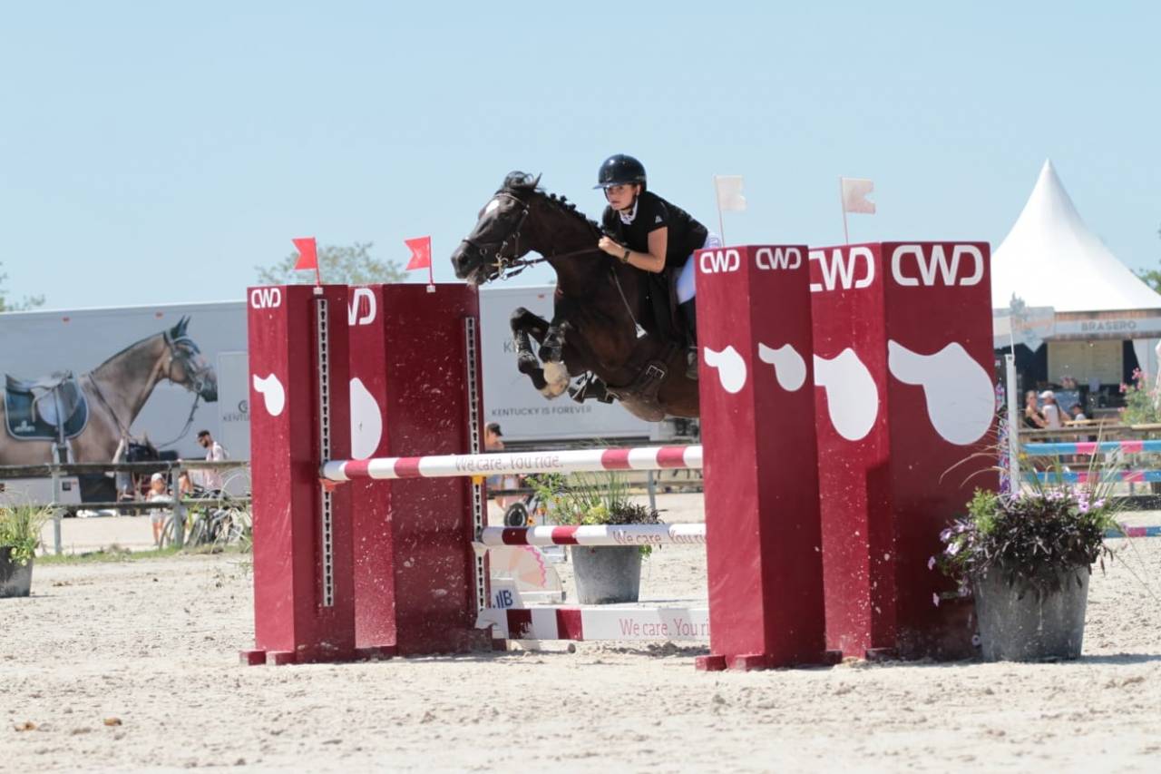 Ruin Franse rijpony PFS Te koop 2015 Zwart