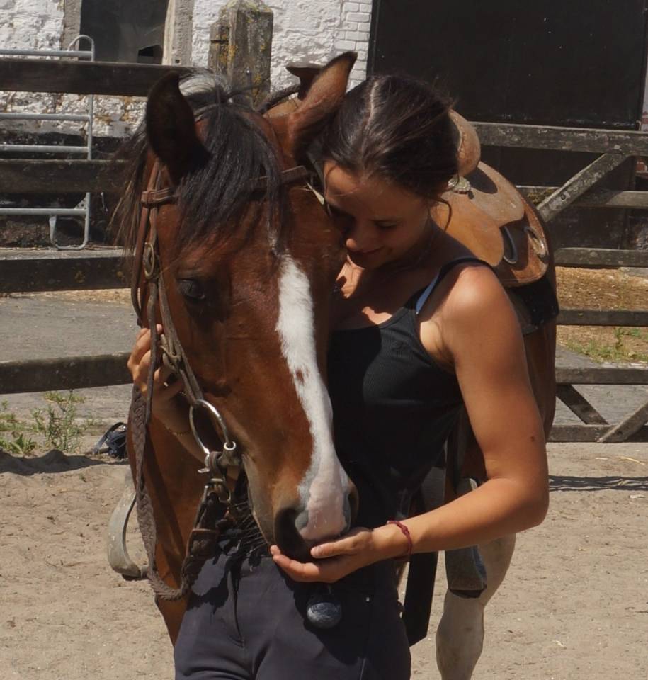 Brave 4-jarige tobiano paint ruin