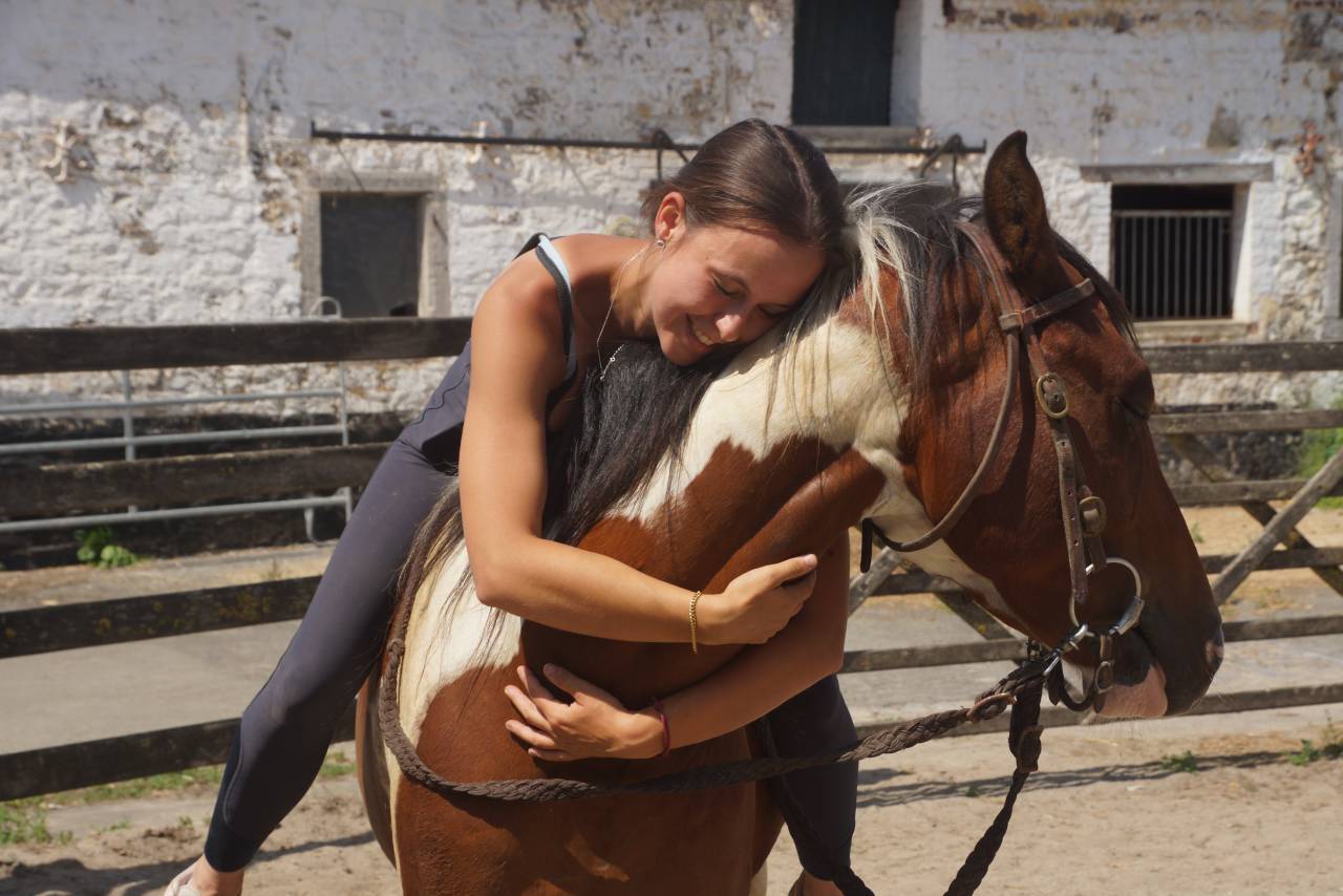 Brave 4-jarige tobiano paint ruin