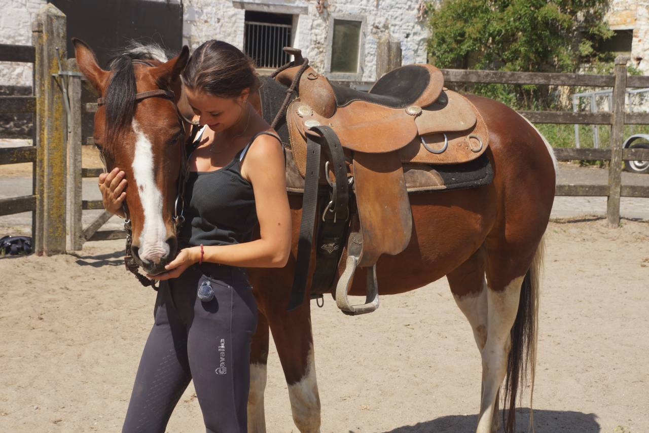 Brave 4-jarige tobiano paint ruin