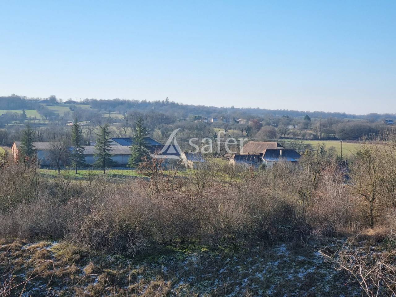 Schapen exploitatie Koop Lot