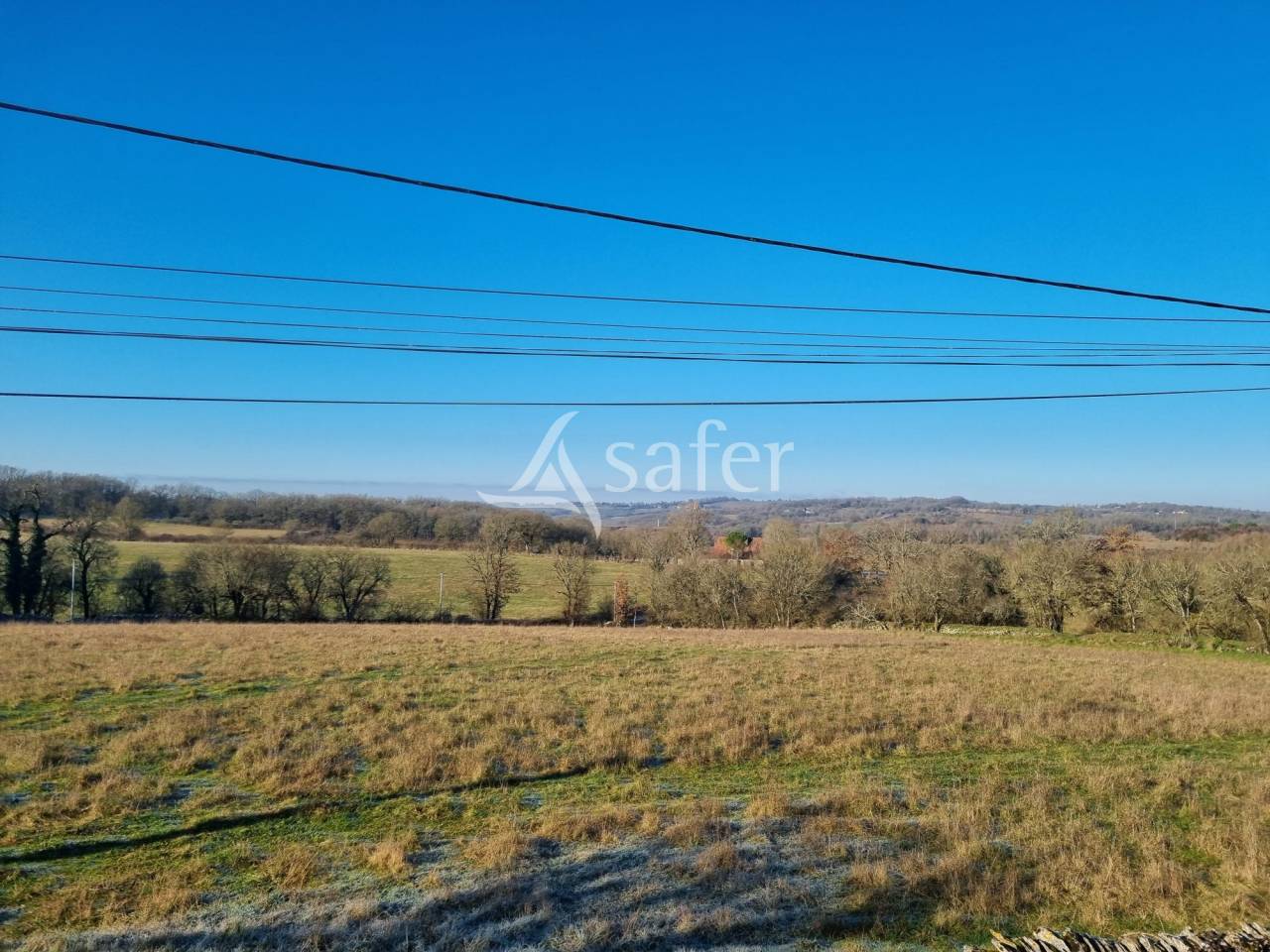 Schapen exploitatie Koop Lot