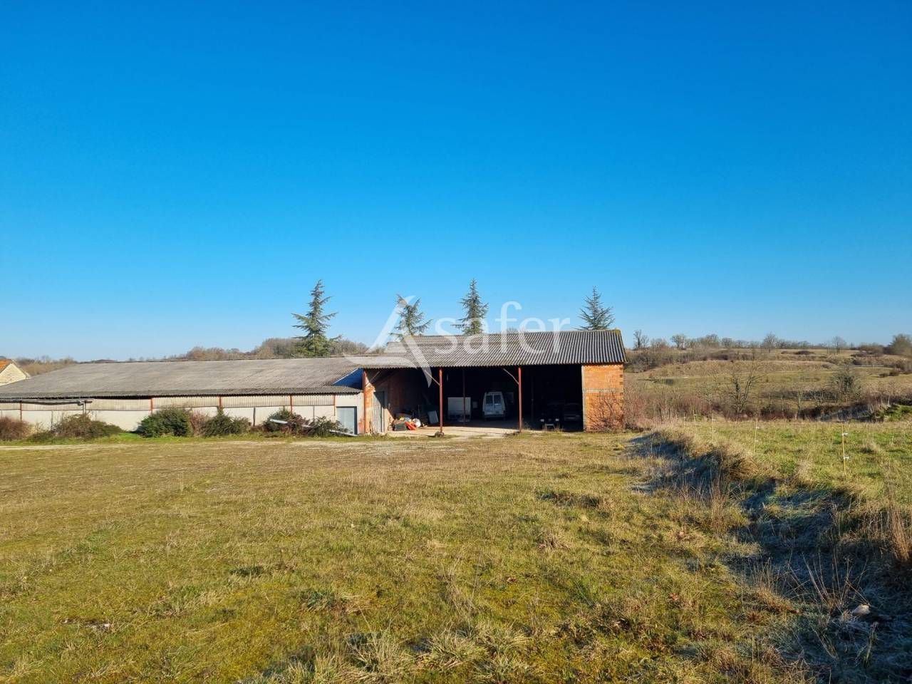 Schapen exploitatie Koop Lot