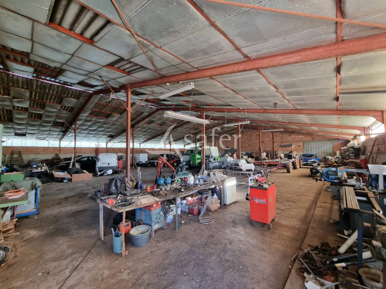 Schapen exploitatie Koop Lot