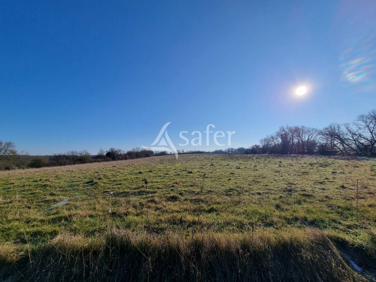 Schapen exploitatie Koop Lot