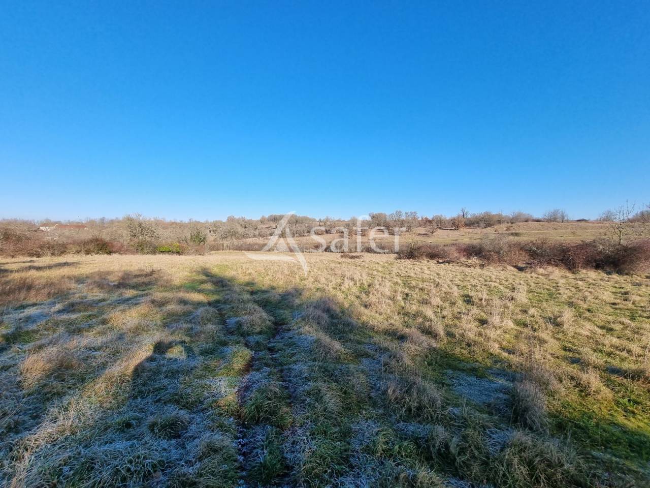 Schapen exploitatie Koop Lot