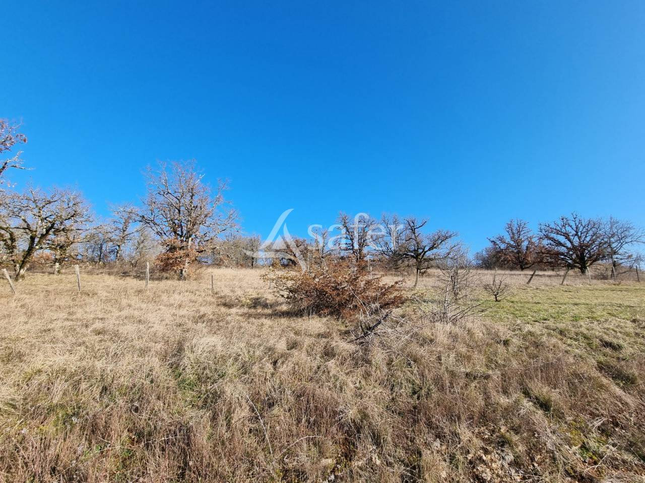 Schapen exploitatie Koop Lot