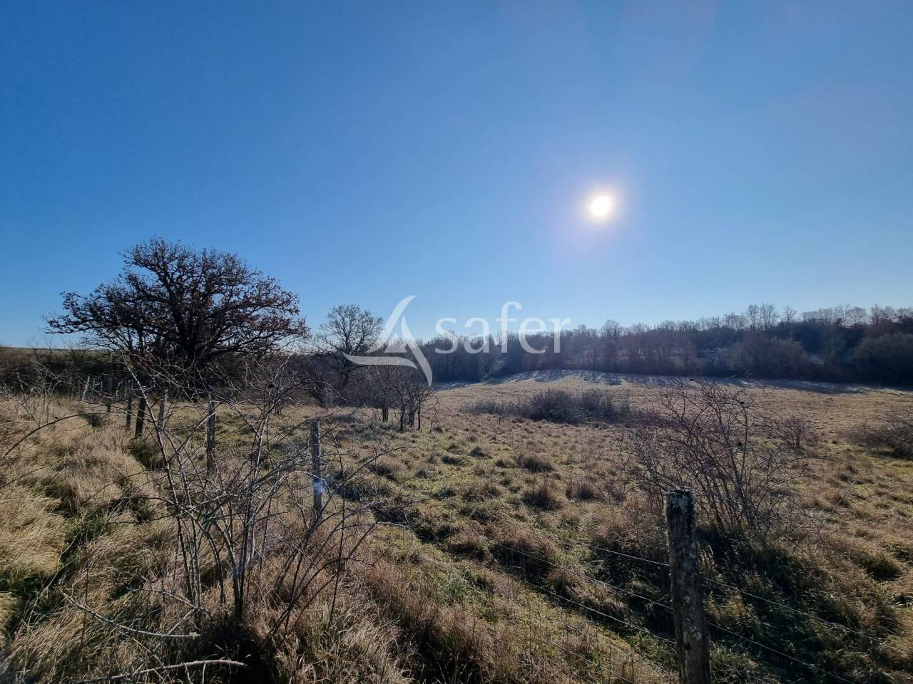 Schapen exploitatie Koop Lot