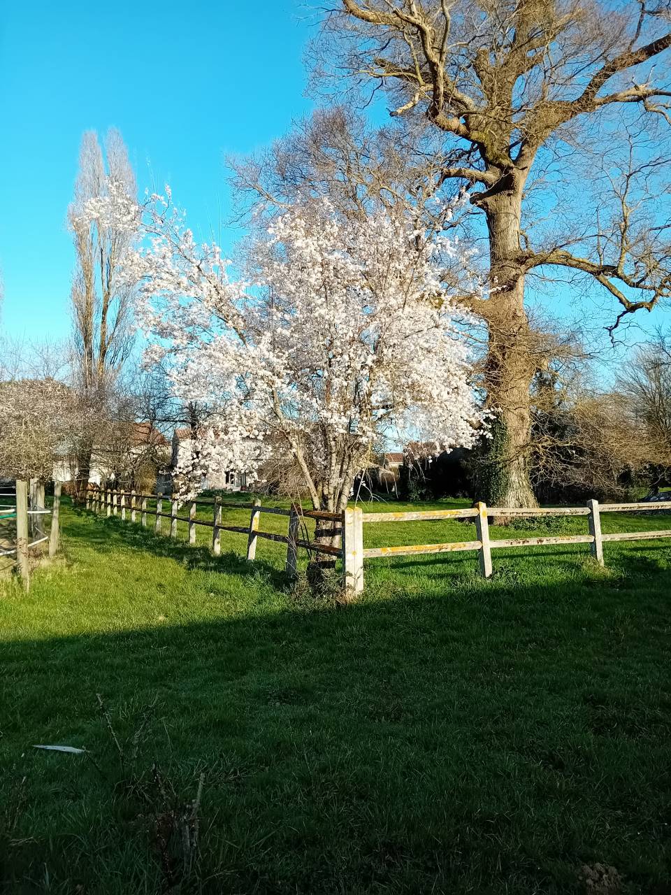 Mooi hippisch vastgoed Koop Charente-Maritime
