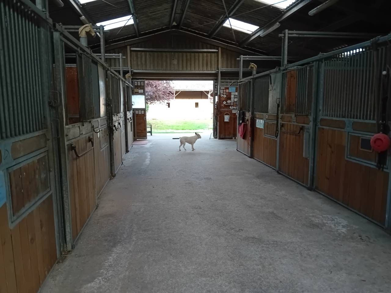 Mooi hippisch vastgoed Koop Charente-Maritime