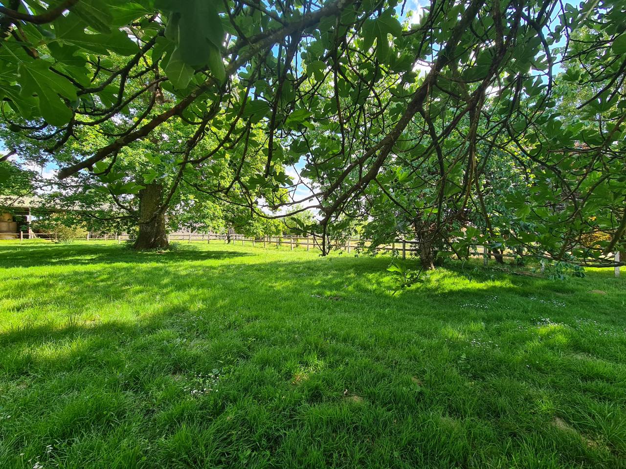 Mooi hippisch vastgoed Koop Charente-Maritime