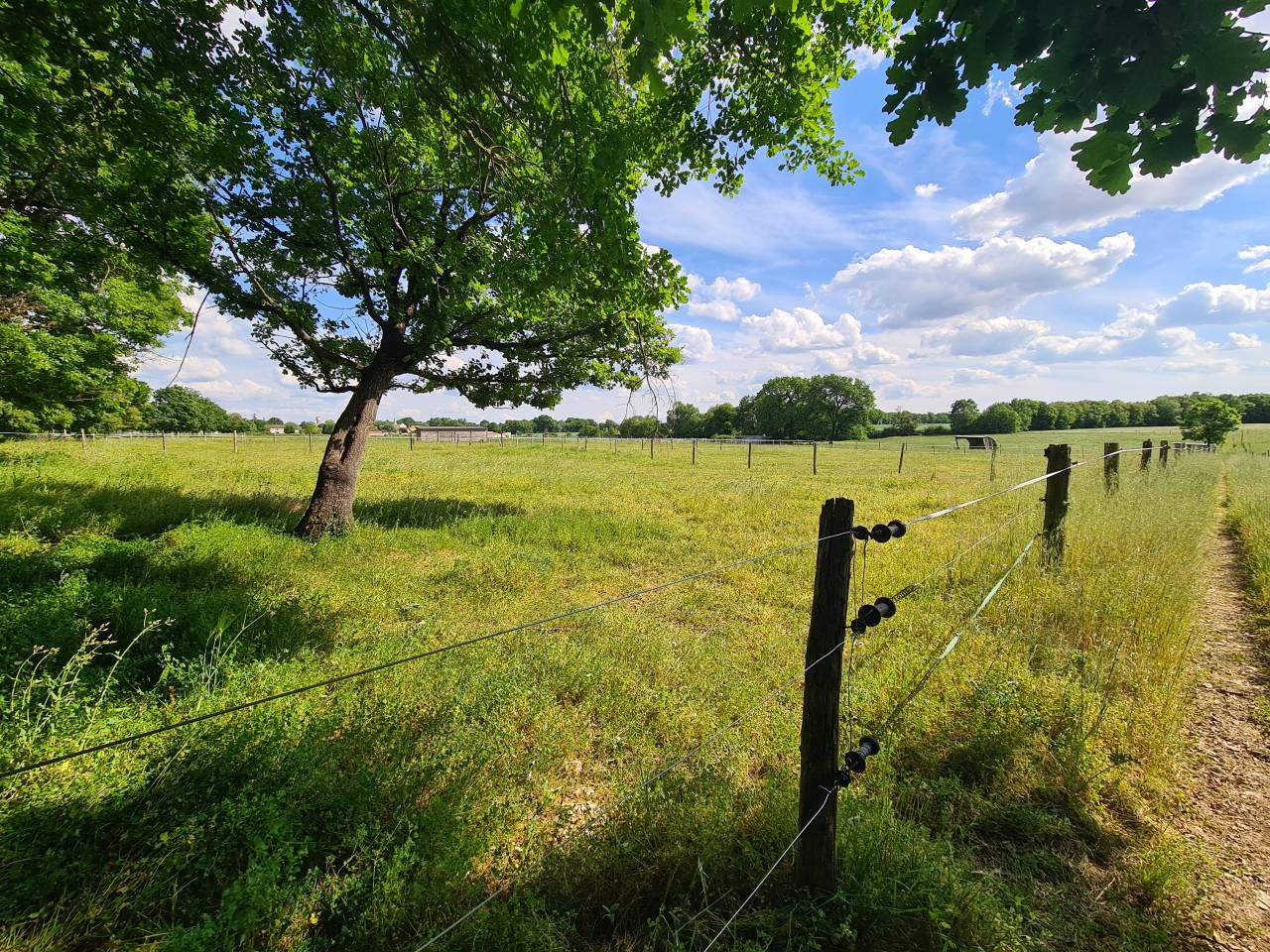 Mooi hippisch vastgoed Koop Charente-Maritime