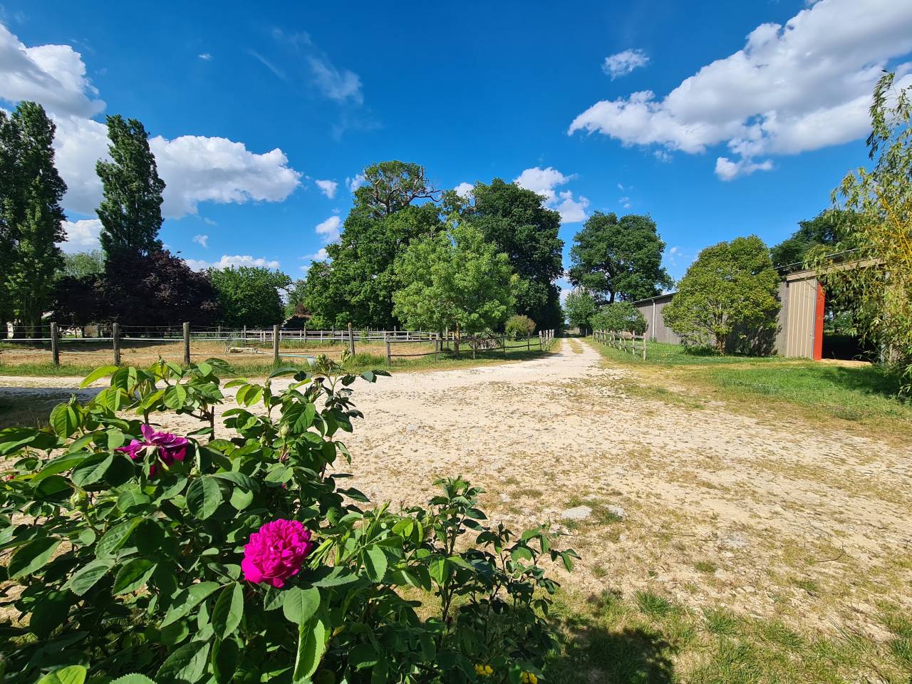 Mooi hippisch vastgoed Koop Charente-Maritime