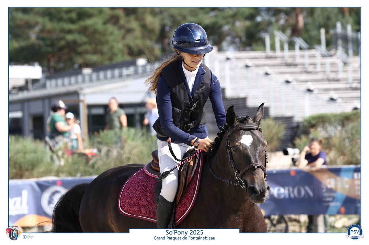 Ruin Franse rijpony PFS Te koop 2020 Zwart