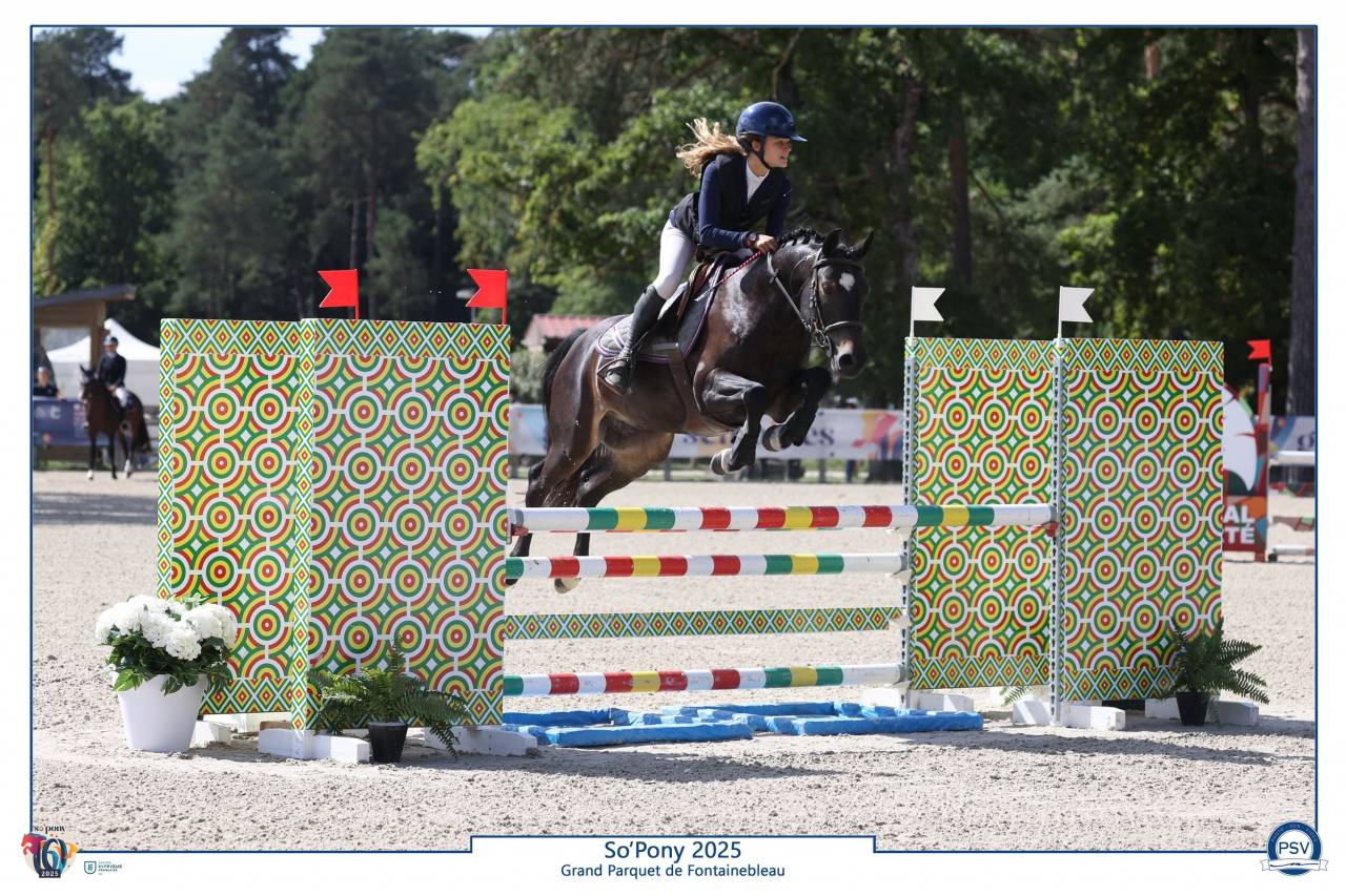 Ruin Franse rijpony PFS Te koop 2020 Zwart