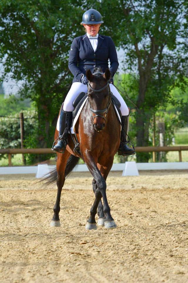 Merrie Lusitano Te koop 2019 Bruin / Bai