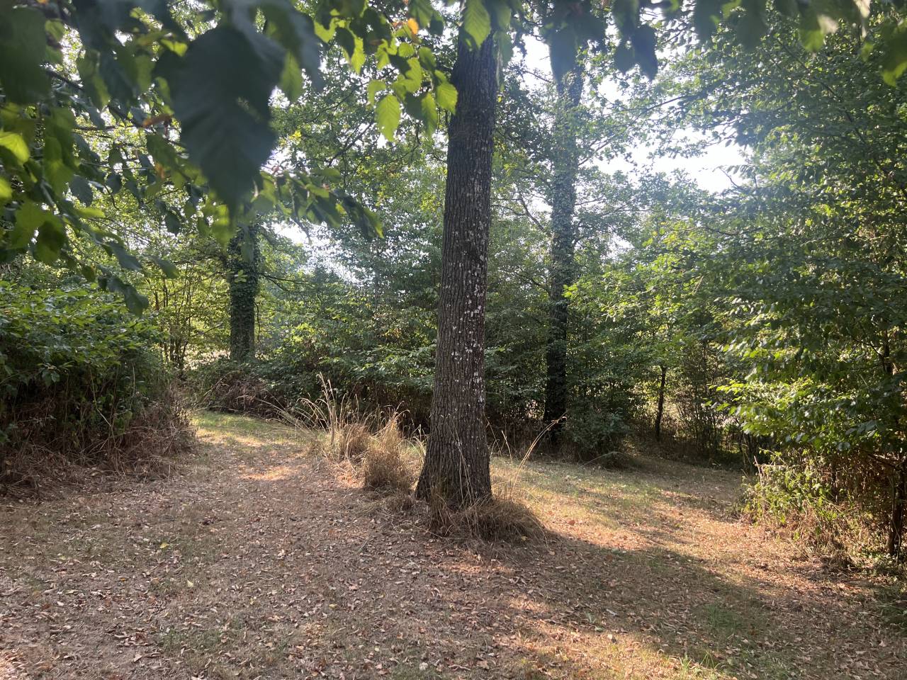 Ander plattelands vastgoed Koop Cher