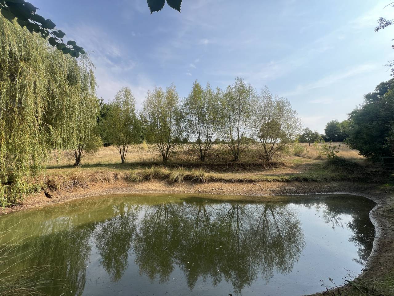 Ander plattelands vastgoed Koop Cher