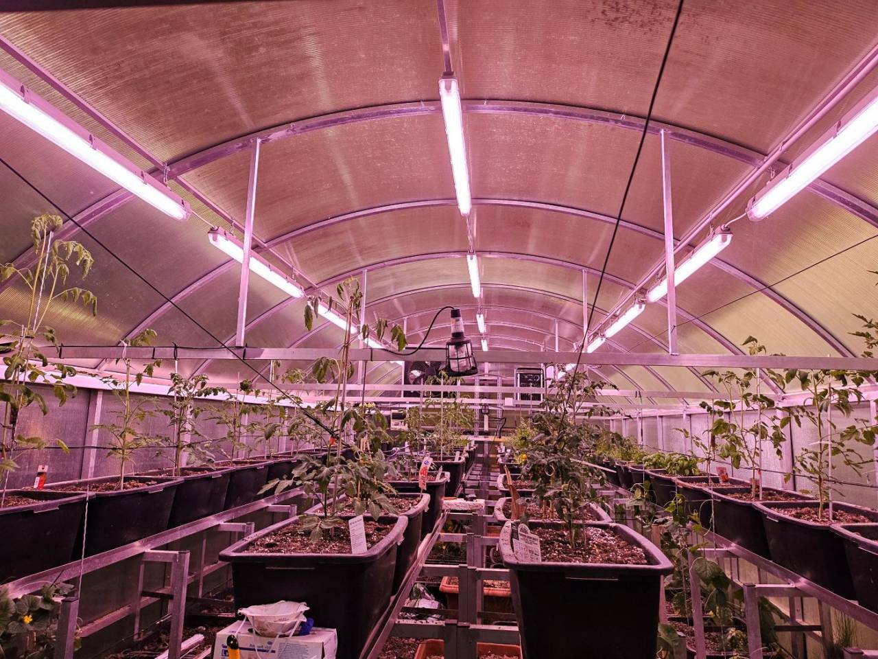 Hippisch vastgoed Koop 