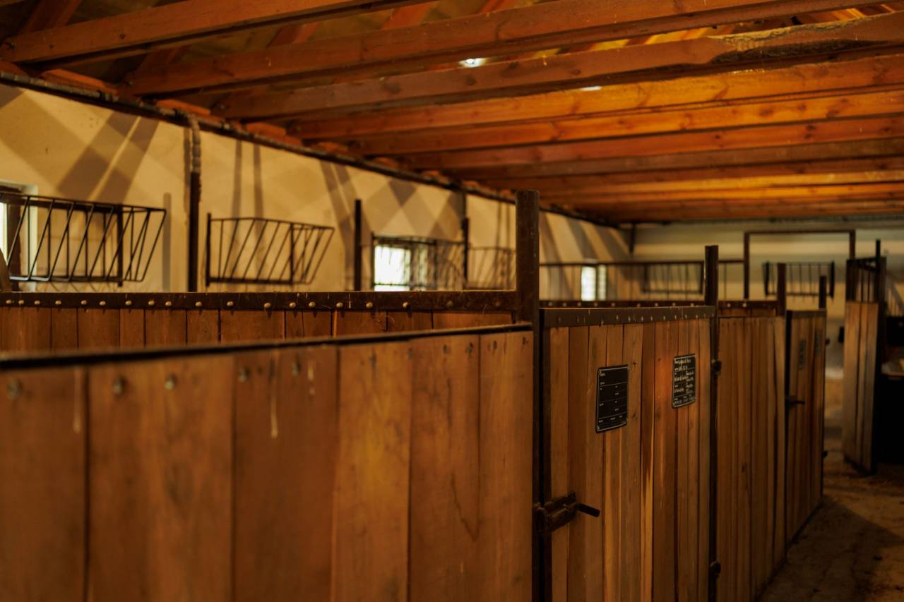 Hippisch vastgoed Koop 